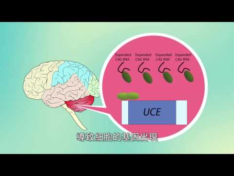 中大跨學科研究團隊為罕見神經系統疾病研發新藥物