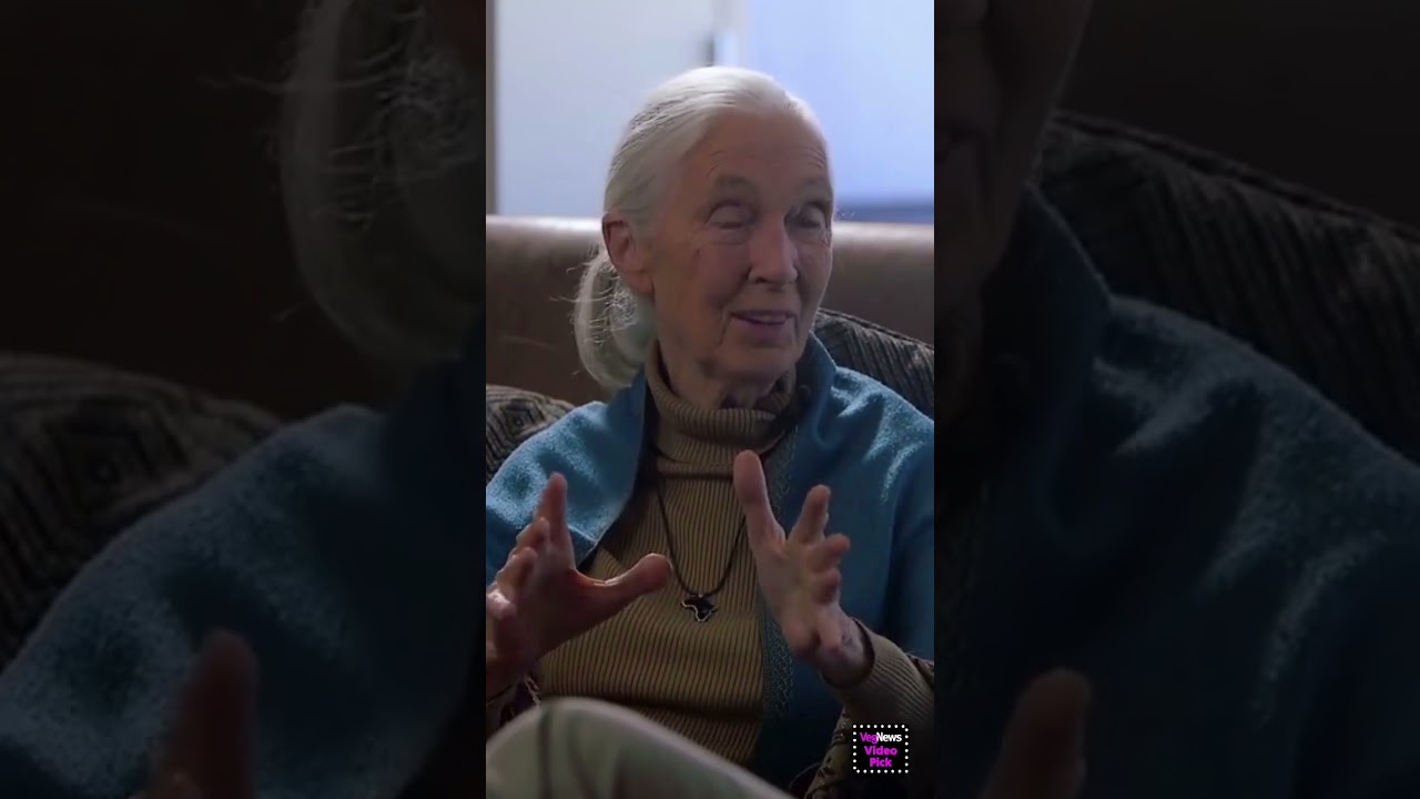 š The Urgent Call to Save Our Planet ft. Jane Goodall š±š³