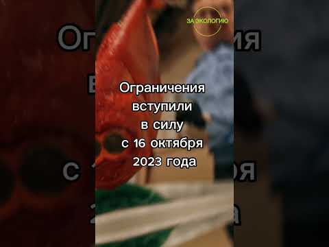 Ограничение на импорт рыбной продукции из Японии #заэкологию #чистаястрана #берегитеприроду