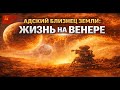 Почему человечество больше не возвращается на Венеру
