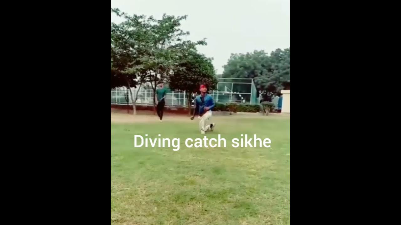 HOW TO DO DIVE CATCHES IN CRICKET /DIVE CATCHES/🏏 divecatches cricketer learndivecatches HOW TO DO DIVE CATCHES IN CRICKET /DIVE CATCHES/🏏 divecatches cricketer learndivecatches
