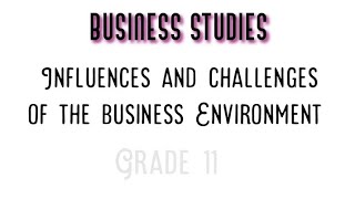 Grade 11 Influences and challenges of the business environment Full Explanation