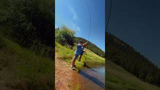 Fly Fishing Program Highlight - Camp Shady Brook