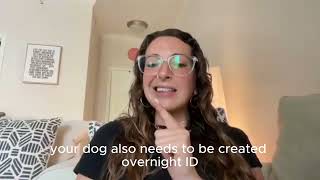 How to Successfully Heal Separation Anxiety in Dogs - Janna's Pack