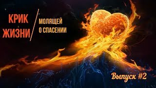 Крик Жизни молящей о спасении Выпуск 2🐾 БФ Лохматая Душа Крик Жизни молящей о спасении Выпуск 2🐾 БФ Лохматая Душа