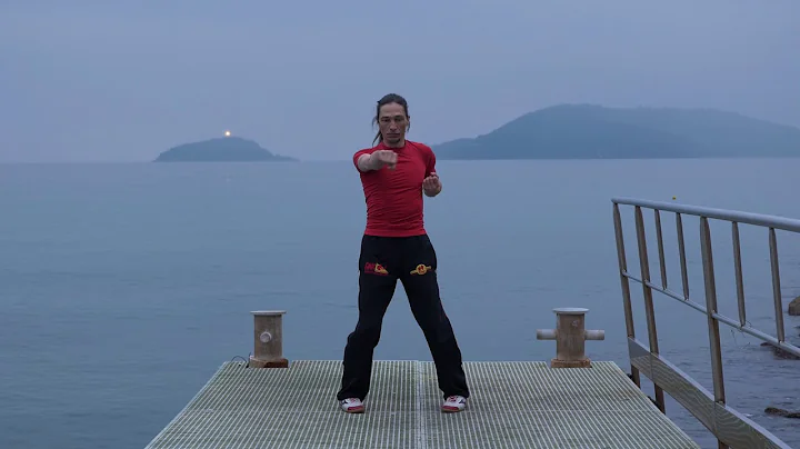 Sifu Davide Laringi - Biu Tze form