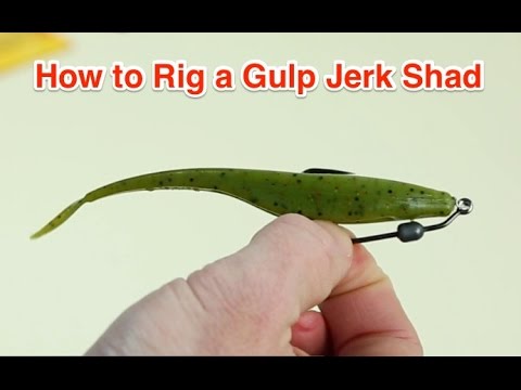 How to Rig a Berkley Gulp Jerk Shad for Catching Snook, Redfish