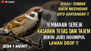 NGERIII..!!!MASTERAN TEMBAKAN GEREJA KASARAN TEGAS DAN TAJEM || BIKIN JURI NGUMPUL !!