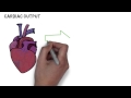 Exercise and The Cardiovascular System - GCSE Physical Education (PE) Revision