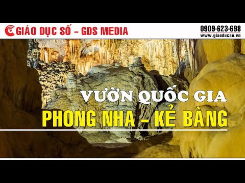 tour du lịch phong nha kẻ bàng Update New Vườn quốc gia Phong nha - Kẻ bàng