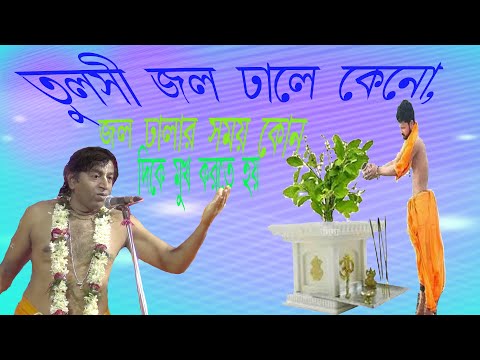 ভিডিও: অন্দর গাছপালা সঠিক জল। ধারাবাহিকতা