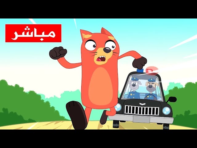 قناة أسرتنا مباشر للاطفال والصغار | أغاني تعليم الأطفال | 🔴 Live |