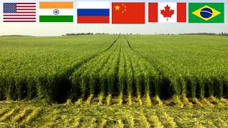 TOP 10 Countries with the most arable land in the world