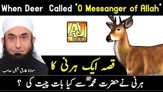 [Story] When The Deer Talking to Prophet Muhammad ﷺ | Maulana Tariq Jameel Bayan 2017