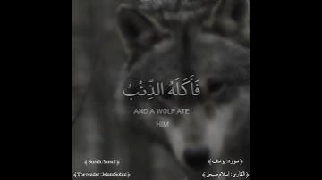 " وتركنا يوسف عند متعنا فاكله الذئب " ﴿ سورة يوسف / الاية 17 ﴾ " القارئ | إسلام صبحي "