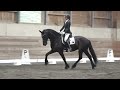 Xanadu ISF, by Ulbert 390, Sport - Developing Friesian Dressage Horse - June 2022
