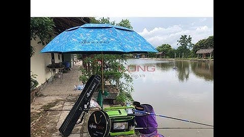 ô câu cá Quing long thủy bạc khớp 360 độ