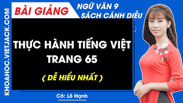 Thực hành tiếng Việt trang 65 | Ngữ văn 9 - Cánh diều (DỄ HIỂU NHẤT)