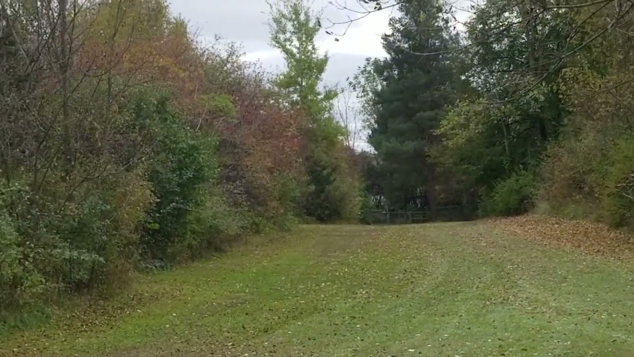 2004 ltz440 hot cam rip wheelie