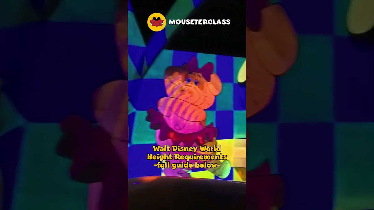 На всех аттракционах Disney World действуют ограничения по росту 