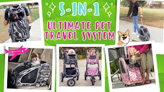 ULTIMATE Pet Travel System | How To Assemble Petique's 5in1 Pet Stroller + Incredible Features