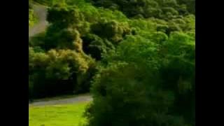 la vidéo qui fait peur!