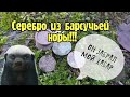 Коп! Серебро из барсучьей норы!!! открыл сезон 2022. Metal detecting.