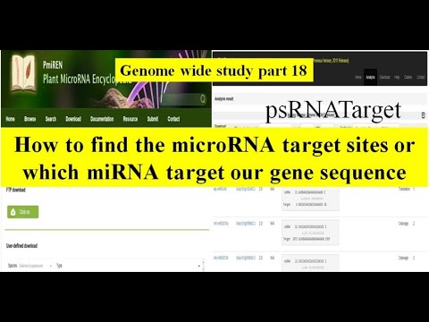 Video: MicroRNA-211 Regola La Proliferazione Cellulare, L'apoptosi E La Migrazione / Invasione Nell'osteosarcoma Umano Attraverso Il Targeting EZRIN