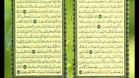 سورة المائدة من الاية 42 الى الاية 50