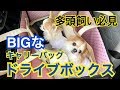 犬用ドライブボックスと多頭飼い専用キャリーバッグのご紹介