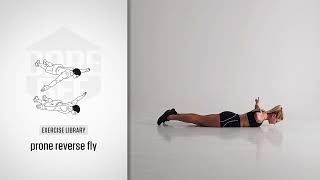 Exercise Library: Prone Reverse Fly