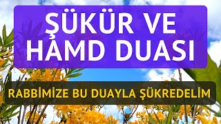 Şükür ve Hamd Duası