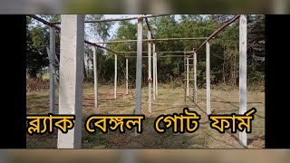 ব্ল্যাক বেঙ্গল ছাগলের ঘর। Black Bengal Goat Farm. #blackbengal #goatfarming #westbengal #bankura