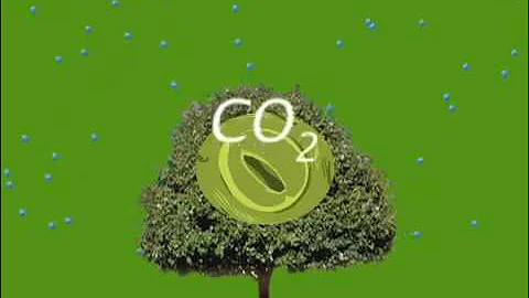 CO2 Effects on Plants Increase Global Warming