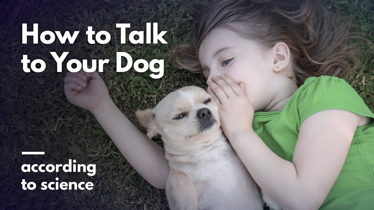 How To Talk To Your Dog About Communism