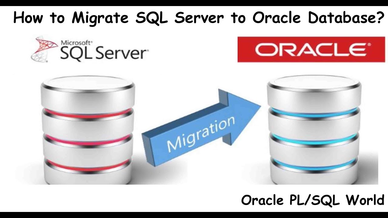 Oracle add. Oracle database SQL. Oracle vs SQL Server. SQL Server стикер. Oracle Live SQL.