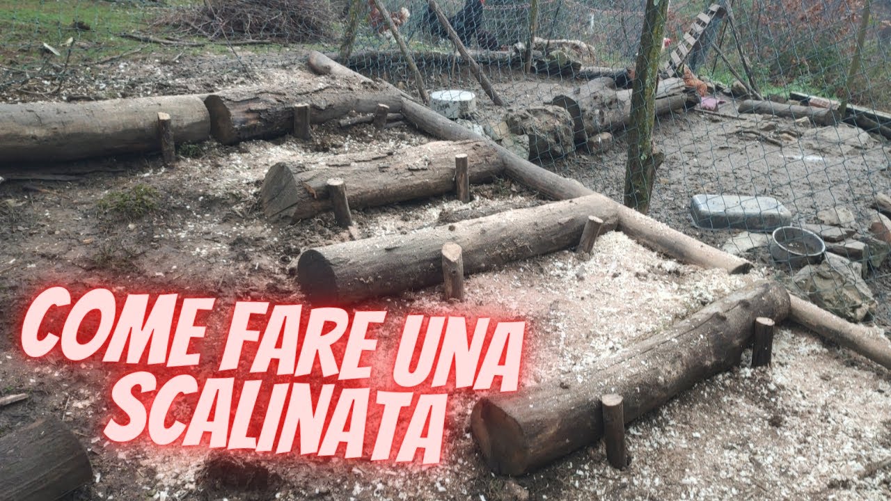 Scalini Con Tronchi Di Legno Ecco Come Li Ho Fatti YouTube scalini-con-tronchi-di-legno-ecco-come-li-ho-fatti-youtube