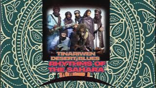 Tinariwen **'Echoes of the Sahara: Tinariwen's Mesmerizing Desert Blues'**