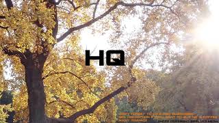 Don't leave me this way - Thelma Houston (HQ)