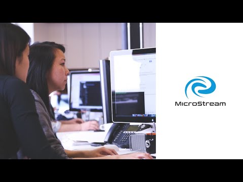 MicroStream Advanced Training - Christian Kuemmel | (EN) - 0509