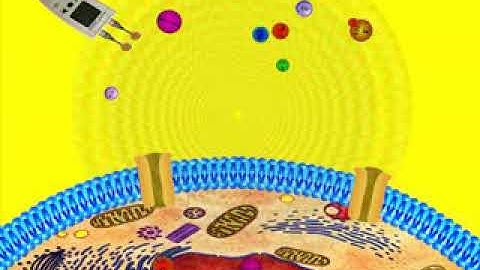 ATP Production and EHF therapy