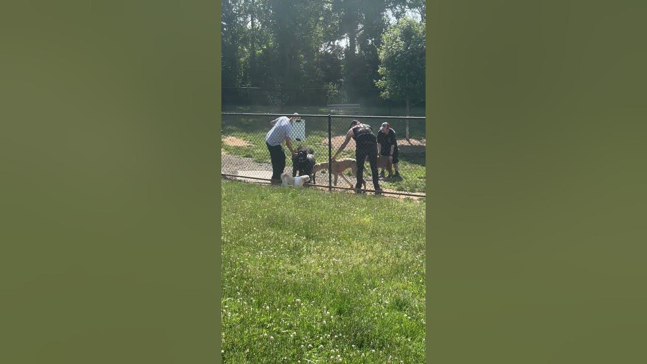 Jim Dietrich dog parkMemorial day 2023doglover YouTube