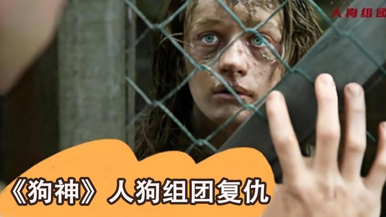 呂克·貝松又壹力作《狗神》，人狗組團發起複仇與反抗，全程高能！ 