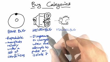 Bug Categories - Software Debugging