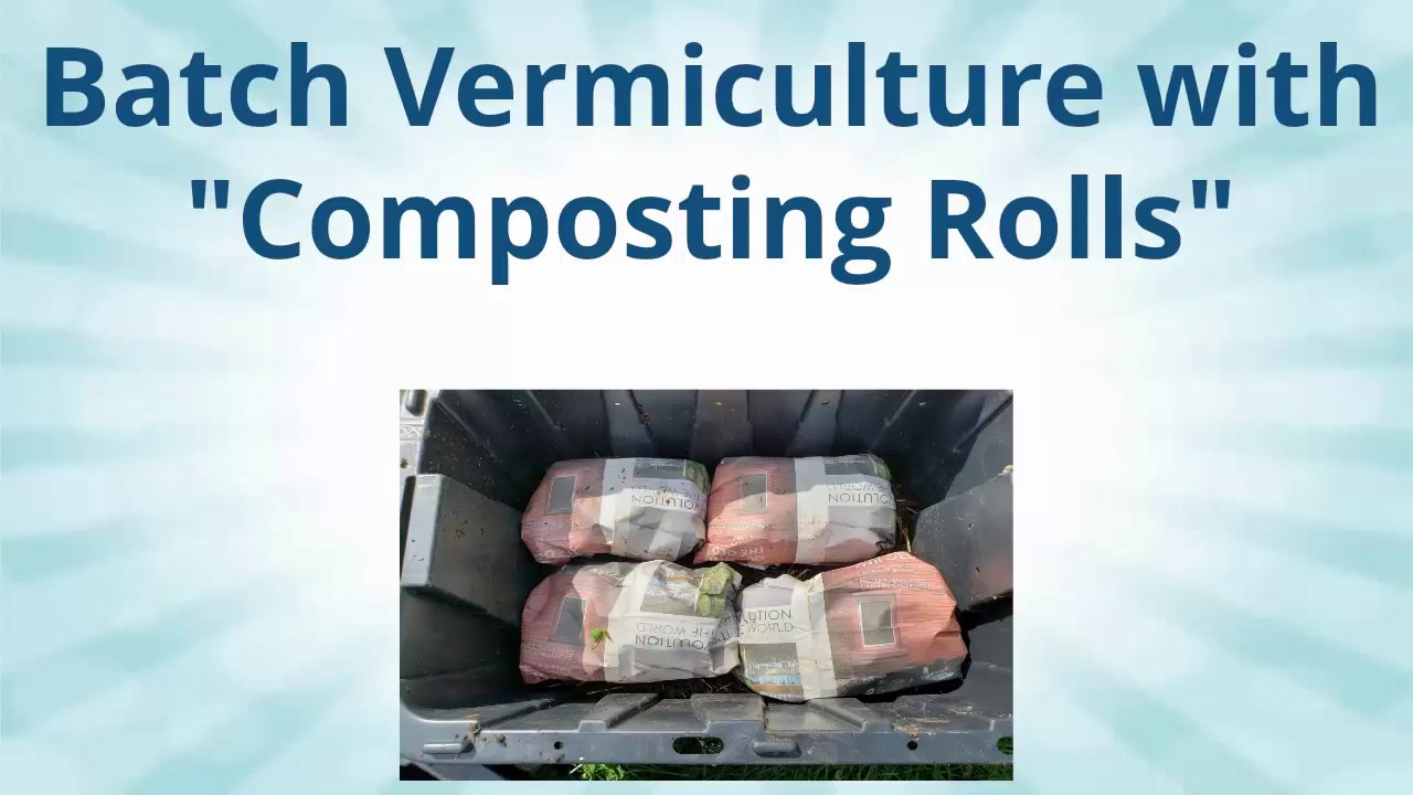 Batch Vermiculture With Composting Rolls - YouTube