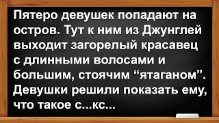 Пятеро девушек и загорелый красавец... Анекдоты! Юмор! Позитив!