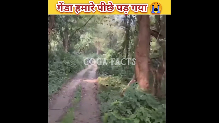 🦏 गेंडा हमारे पीछे पड़ गया 😭 ~ #viralshorts