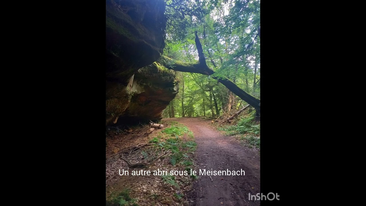 rando autour de Sparsbach