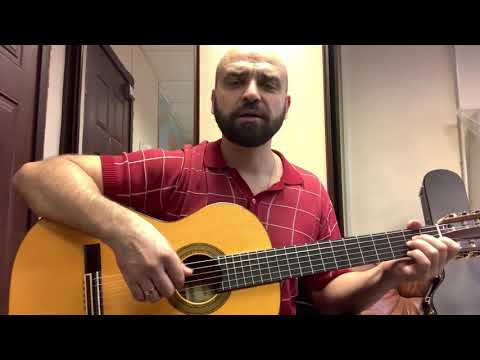 Снегири (сл.Дудин, муз.Антонов)