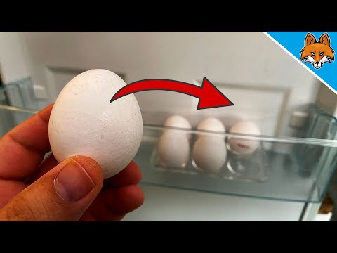 Video: Trebate li čuvati limenke u hladnjaku?